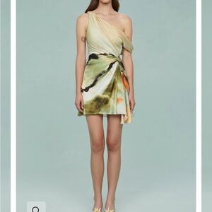 AMUR Elowen Print Mini Dress